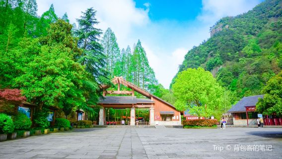 Shaoxing