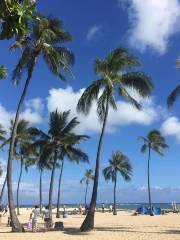 Fort DeRussy Beach Park