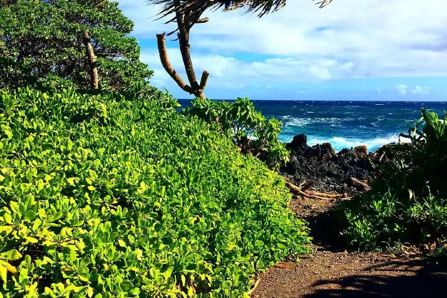 Ke‘Anae Peninsula