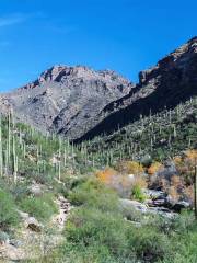 Sabino Canyon