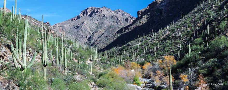 Sabino Canyon