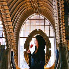 Hr Giger Bar ảnh của người dùng