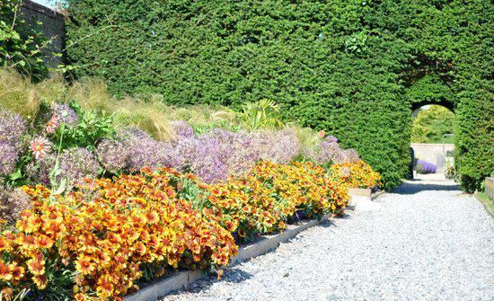 Festina Lente Equestrian Centre & Walled Gardens