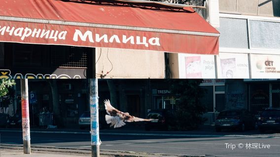 Belgrade