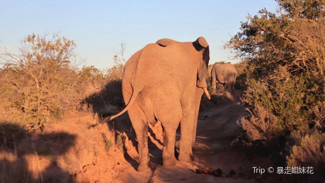 Pumba Private Game Reserve