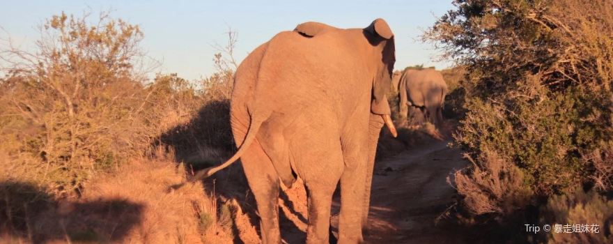 Pumba Private Game Reserve
