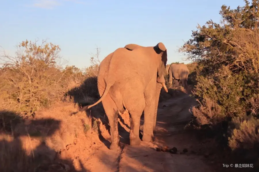 Pumba Private Game Reserve