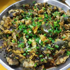 三号农场 User Photo