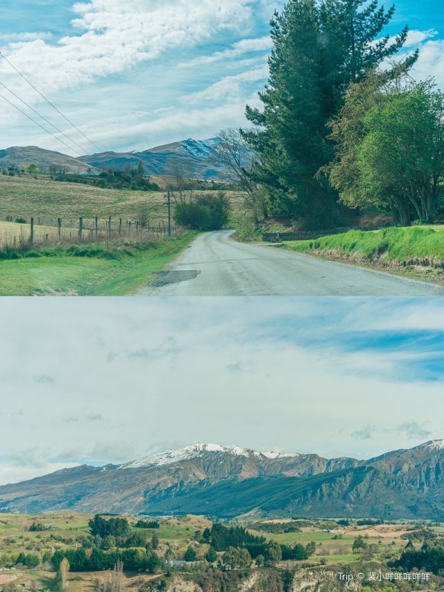 Cardrona Bra Fence