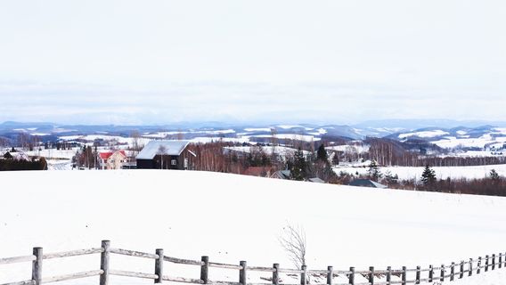 Biei-chō