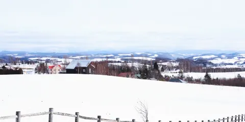 北西之丘 展望公園