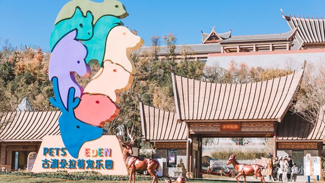 Gudian Dora Pet Paradise