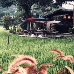 Brandnew Field Good User Photo