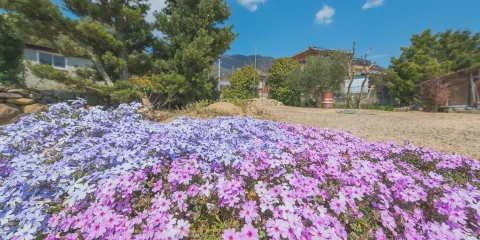 オリーブナビ小豆島