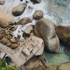 Rockpool Seafood Bar & Grill User Photo