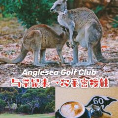 Anglesea Golf Club Bistro User Photo