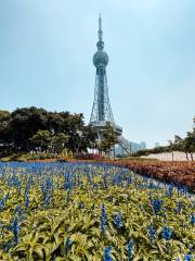 Foshan TV Tower