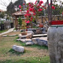 CHUN NUAN HUA KAI NONG GU CAI User Photo