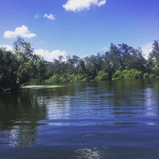 Everglades