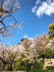 Mount Komaki