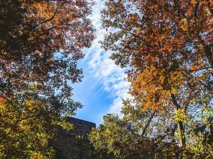 Ginkgo Lake Park