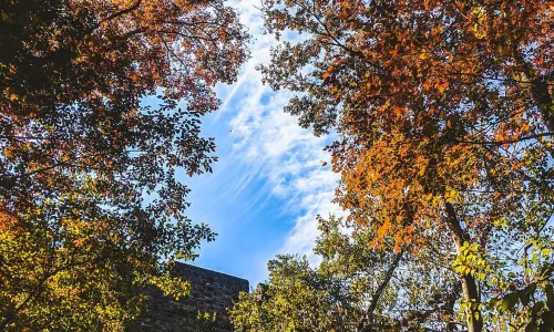 Ginkgo Lake Park