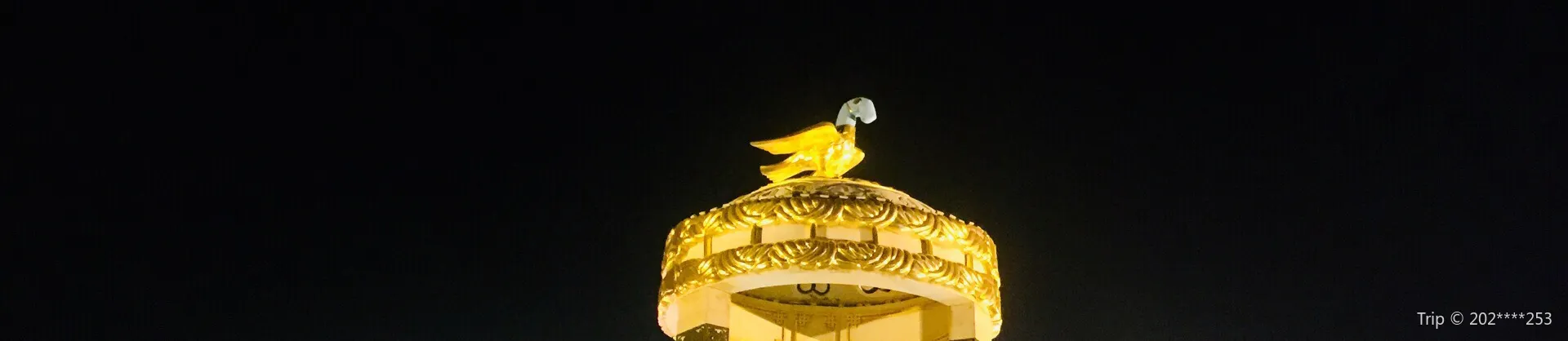 Attrazioni del Giro Notturno