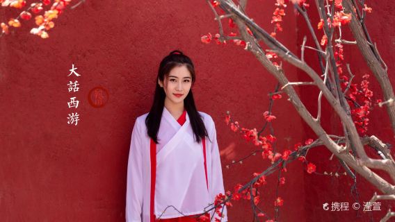 寧夏銀川一日遊西夏陵+鎮北堡影視城+賀蘭山岩畫2~6人純玩