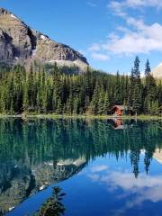 Lake O' Hara