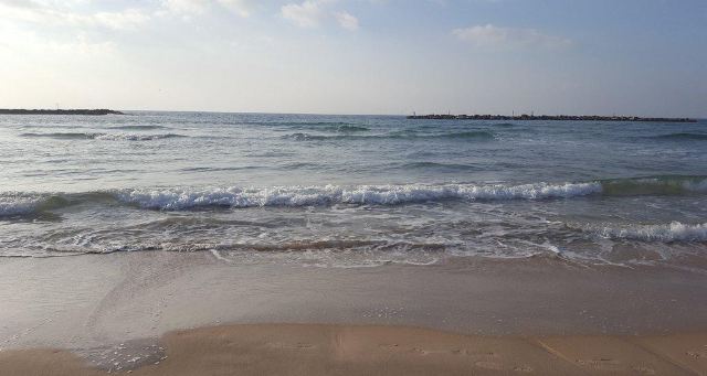 Bograshov Beach