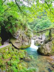 仙寓山風景区