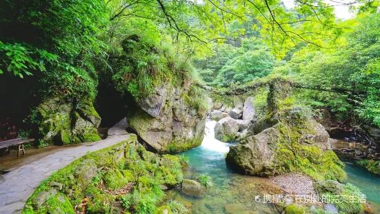 仙寓山風景区