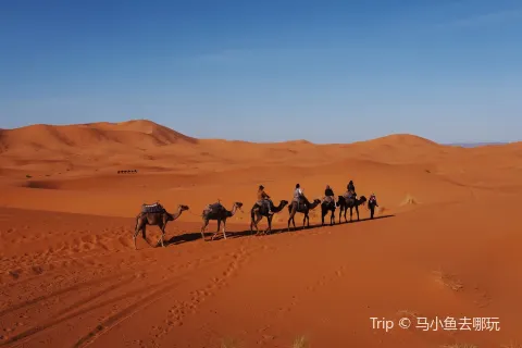 Merzouga