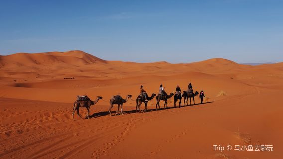 Merzouga