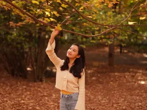 Kunming Botanical Garden