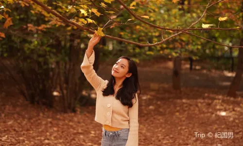 Kunming Botanical Garden