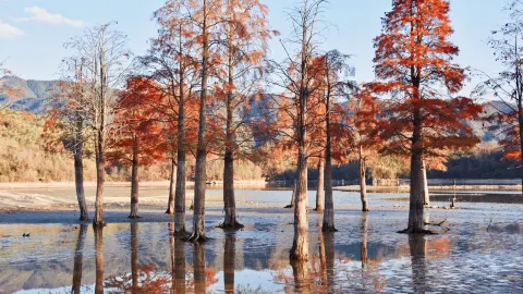 Qishu Lake attraction in Yi County