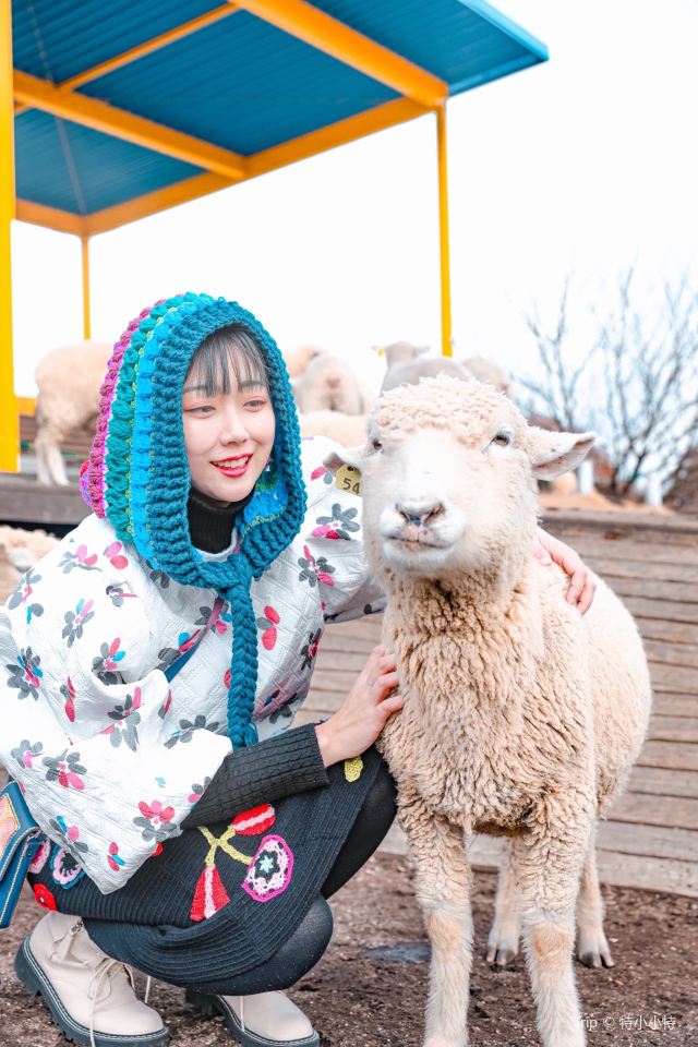 이카호 그린 목장