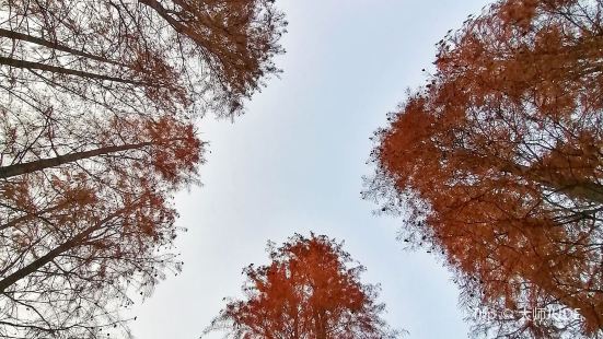 绍兴的雪窦岭位于稽东镇竹田头村止步坑自然村的雪窦岭，因为一片