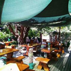 The Mussel Pot Restaurant User Photo