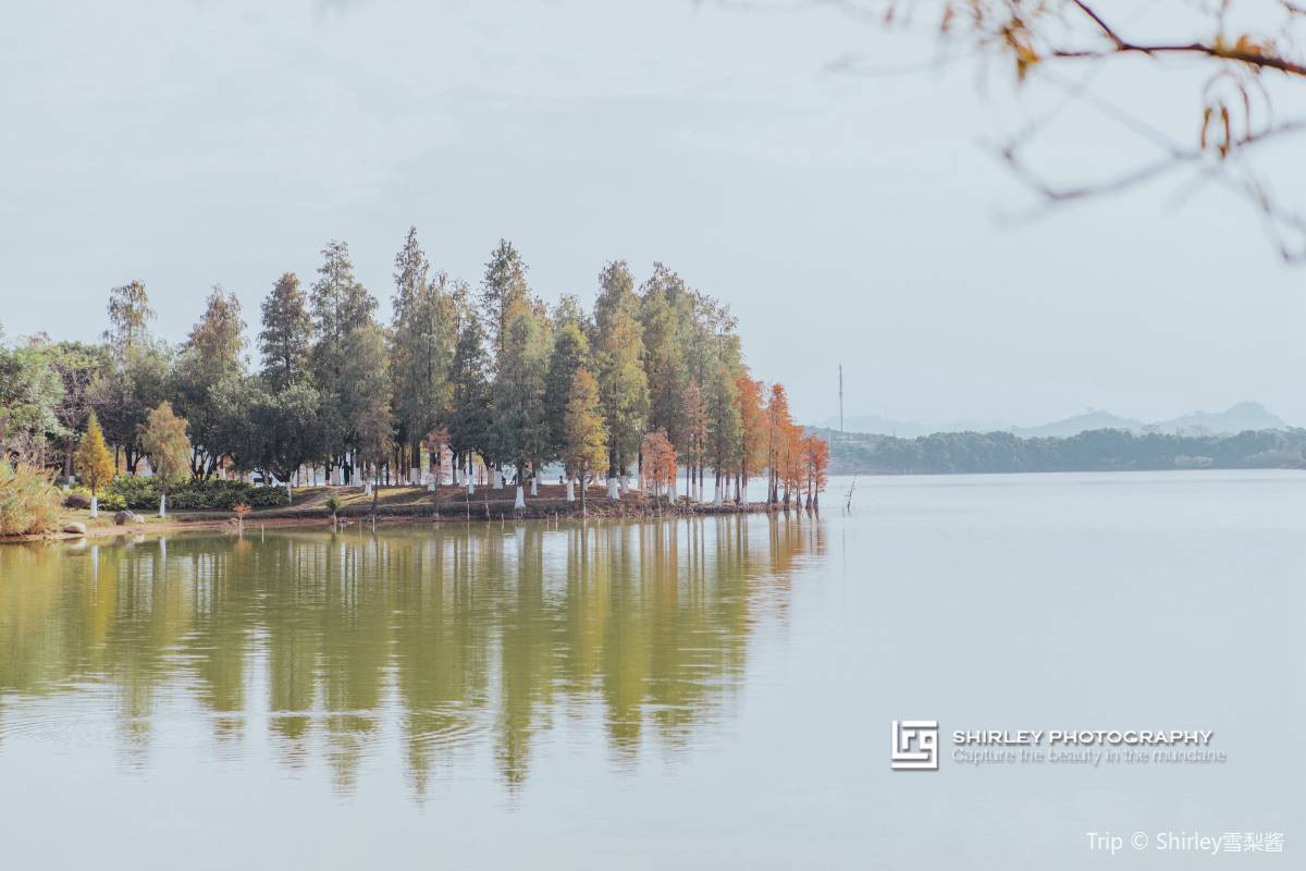 松山湖観光の注意点
