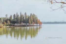 Where to Stay