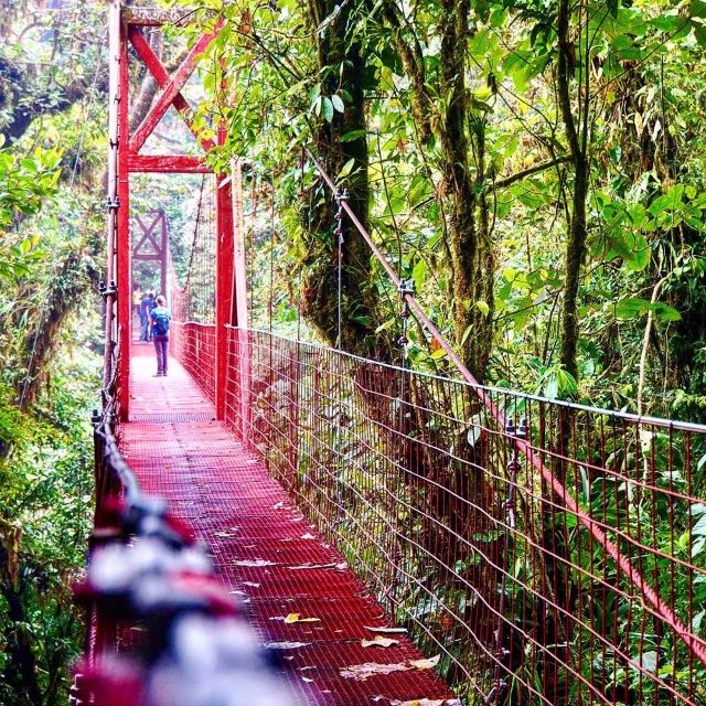 Monteverde Cloud Forest Biological Preserve