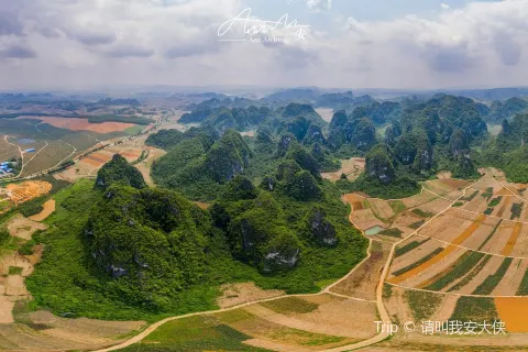 White-Headed Langur Ecological Tourism Area