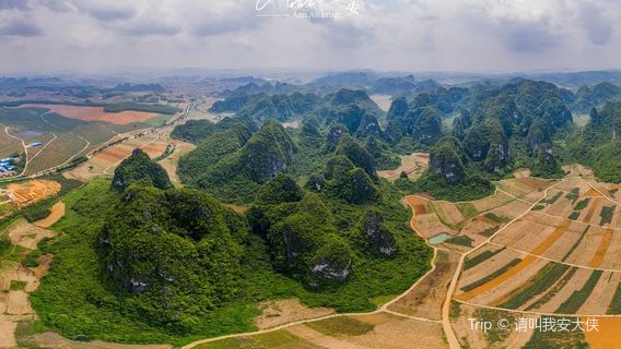 White-Headed Langur Ecological Tourism Area