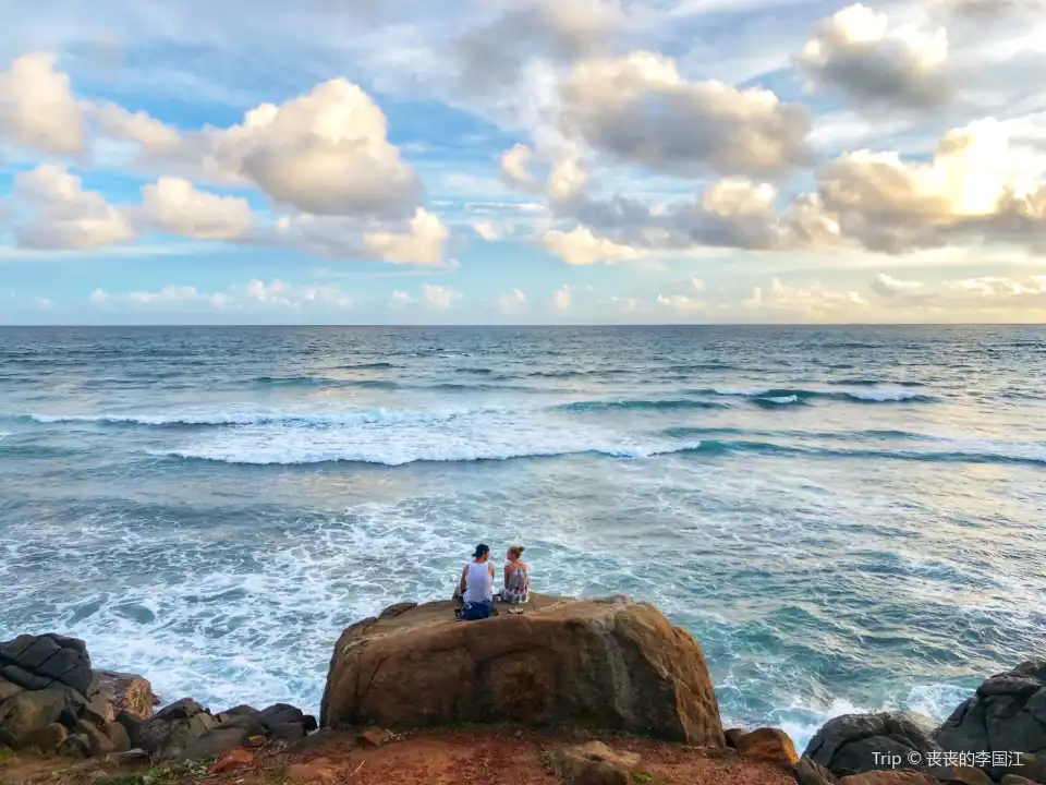 Coconut Tree Hill - Mirissa Tickets [2026] - Promos, Prices, Reviews ...