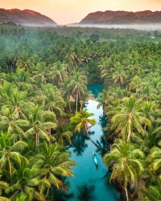 This place is not just incredibly beautiful, but you will have the time of your life here! Palm trees everywhere you look, divided by river and one tall palm tree leaning over the river. Local hand made a swing where local kids and brave tourist jump into the water and practise backflips all day long.