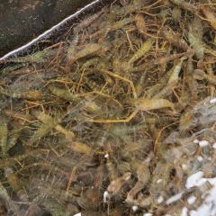 梅峰饭店 User Photo