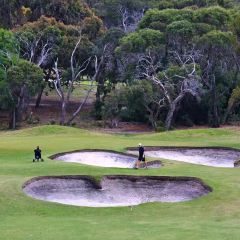 Anglesea Golf Club Bistro User Photo