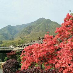 品园度假山庄中餐厅 User Photo
